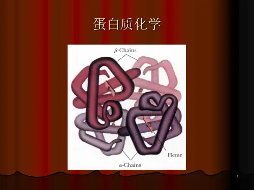 (推荐)《蛋白质化学》PPT课件