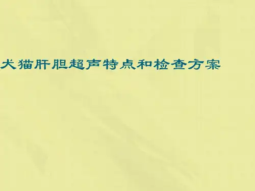 犬猫肝胆超声特点和检查方案