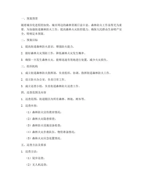 街道森林防火巡查专项预案