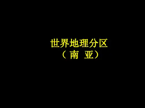 南亚课件专业知识课件