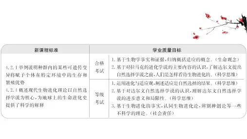 新教材2021-2022学年高中生物人教版必修2素养课件：6.2 自然选择与适应的形成
