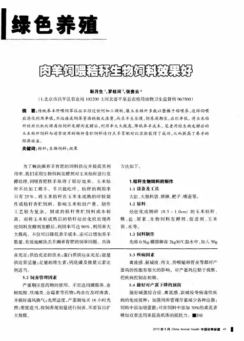 肉羊饲喂秸秆生物饲料效果好
