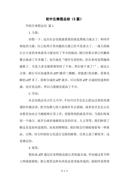初中生寒假总结(5篇)