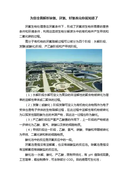 为您全面解析缺氧、厌氧、好氧看完你就知道了