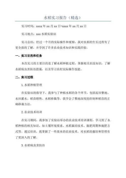 水稻实习报告(精选)