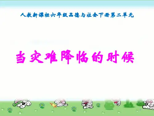 部编版六年级品德与社会精品课件 2.3当灾害降临的时候