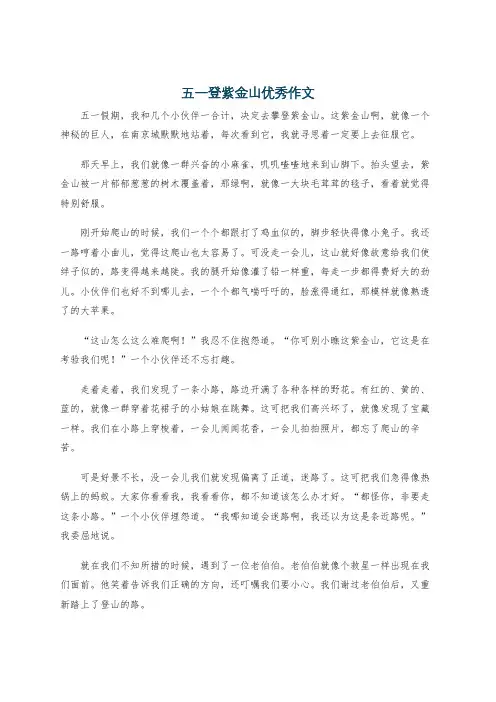 五一登紫金山优秀作文
