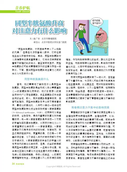 同型半胱氨酸升高对注意力有什么影响