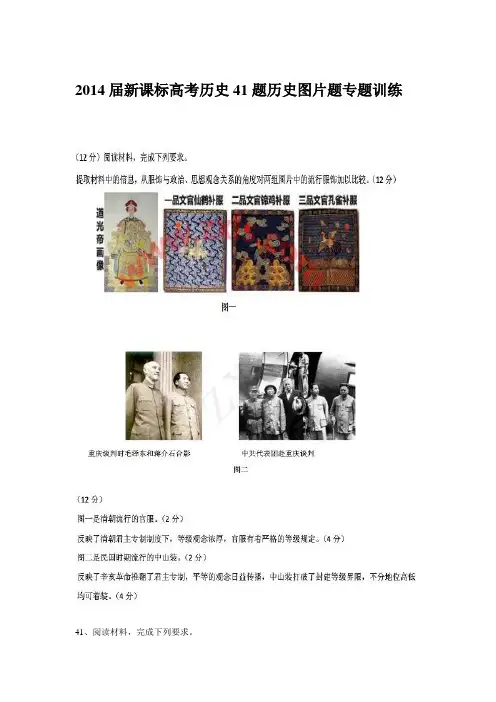 2014届新课标高考历史41题历史图片题专题训练完善版含参考答案或解析