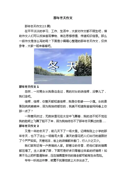 那年冬天作文