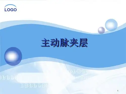 主动脉夹层PPT精选课件