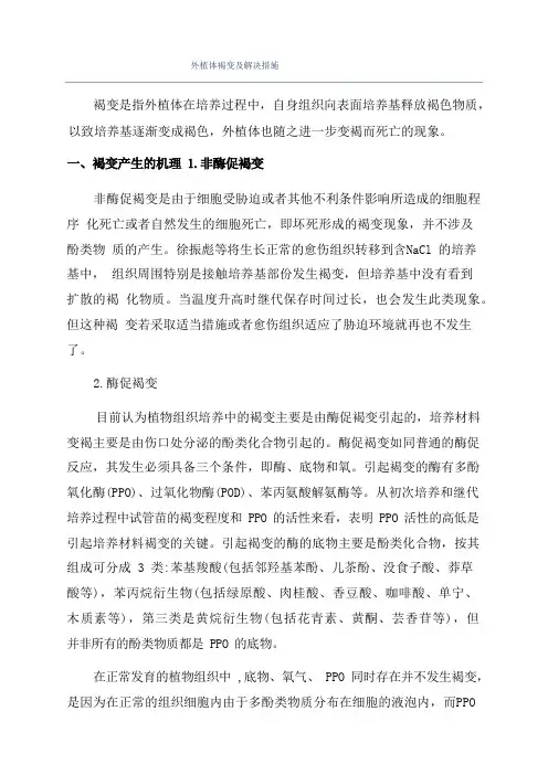 外植体褐变及解决措施