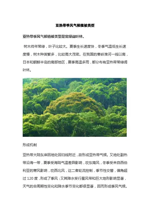 亚热带季风气候植被类型