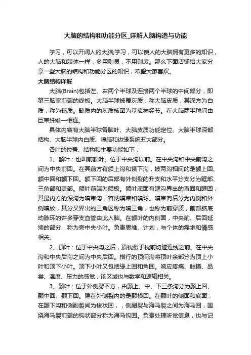 大脑的结构和功能分区_详解人脑构造与功能