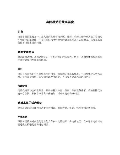 鸡能忍受的最高温度