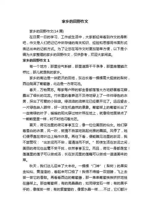 家乡的田野作文（14篇）