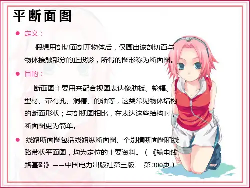 输电线路平断面图基础知识19页PPT