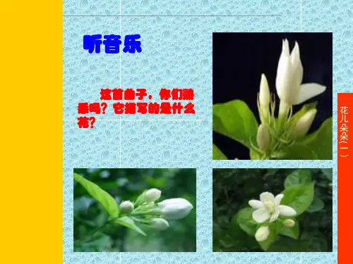 四年级上册美术课件-第六课 花儿朵朵 ︳湘美版(2014秋) (共14张PPT)