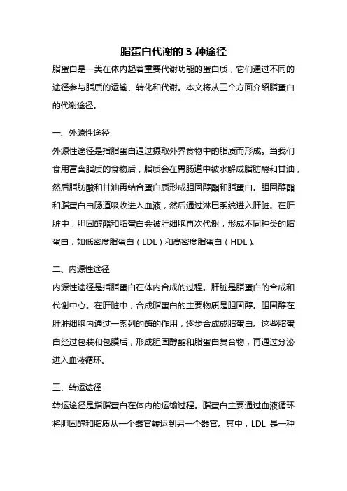 脂蛋白代谢的3种途径