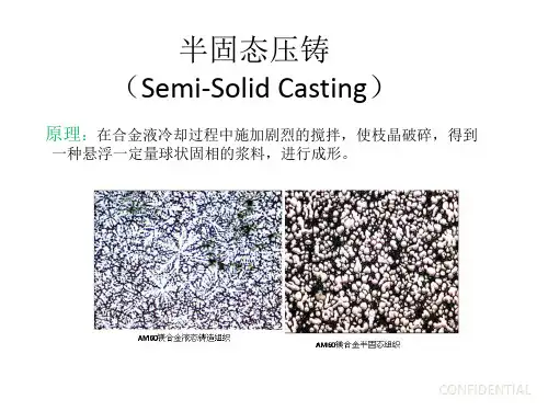 半熔融压铸工艺