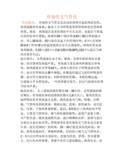 传染性支气管炎