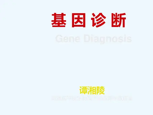 微卫星DNAPCR扩增结果示例