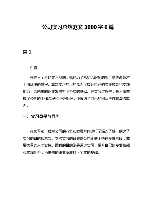 公司实习总结范文3000字6篇