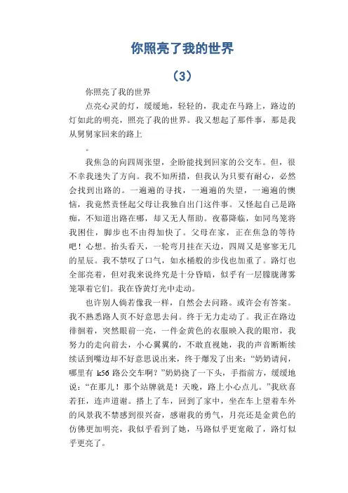 中学生满分作文精选：你照亮了我的世界 (3)