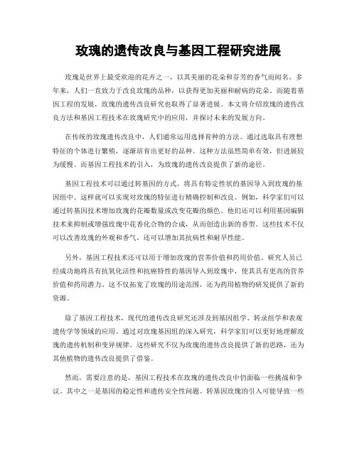 玫瑰的遗传改良与基因工程研究进展