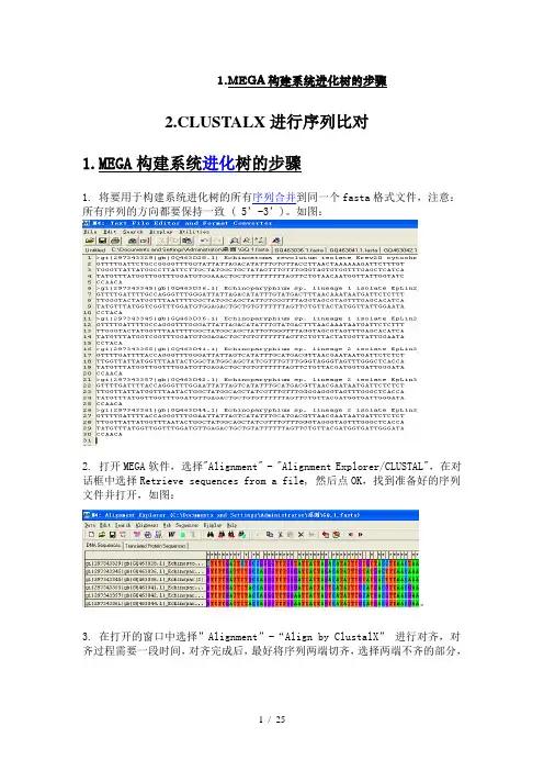 Mega的使用以及进化树的绘制