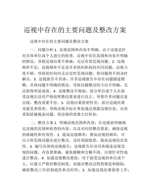 巡视中存在的主要问题及整改方案