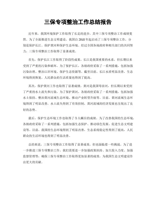 三保专项整治工作总结报告