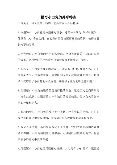描写小白兔的外形特点