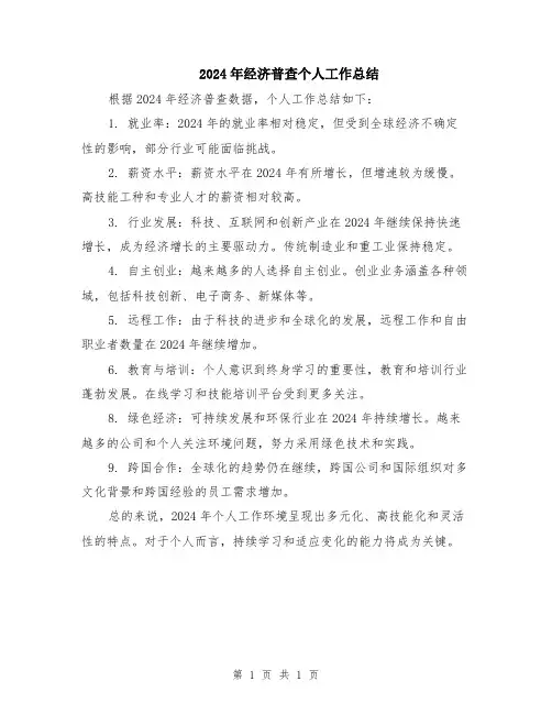 2024年经济普查个人工作总结