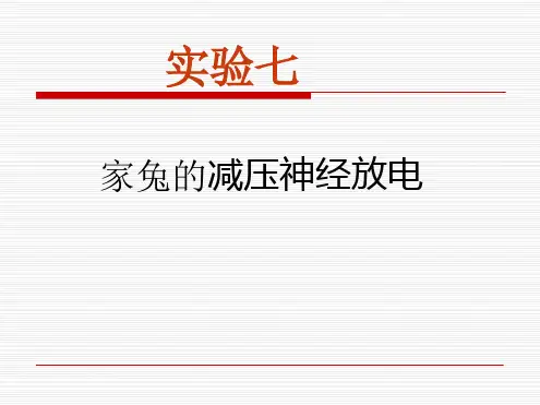 七家兔减压神经放电