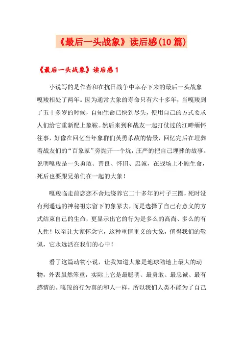 《最后一头战象》读后感(10篇)