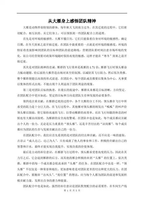 从大雁感悟团队精神