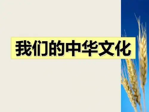 高中政治人教版必修3我们的中华文化 课件PPT