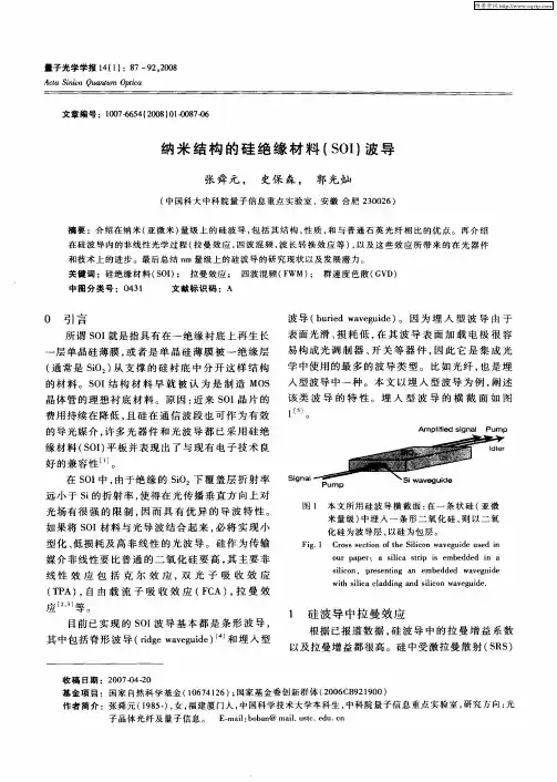 纳米结构的硅绝缘材料(SOI)波导