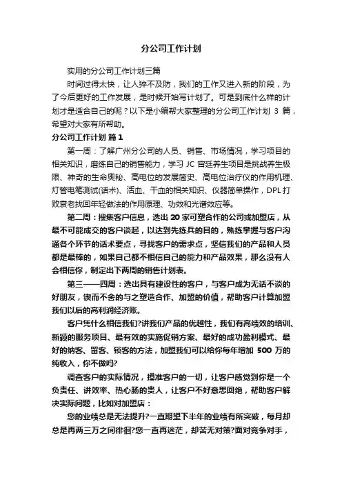 分公司工作计划