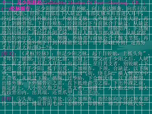 11足少阳胆经 PPT课件