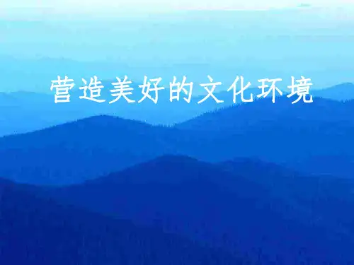九年级政治营造美好的文化环境