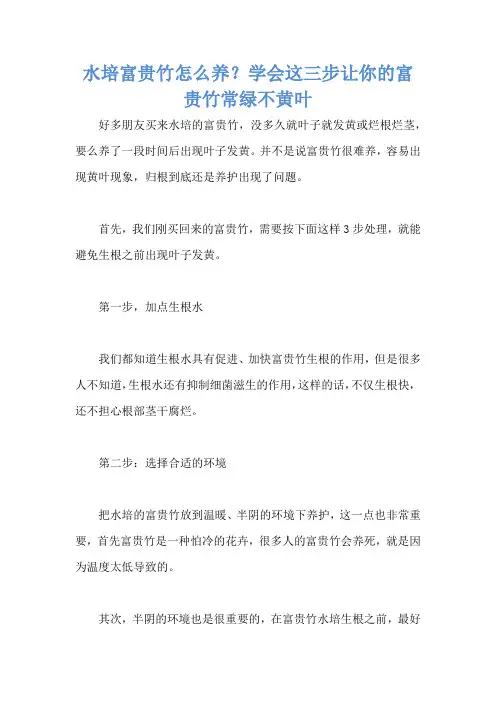 水培富贵竹怎么养？学会这三步让你的富贵竹常绿不黄叶