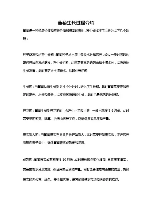 葡萄生长过程介绍