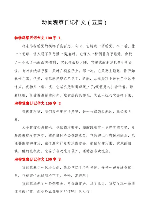 动物观察日记作文(五篇)