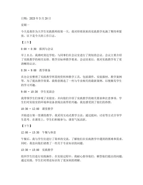 大学生实践教学工作日志