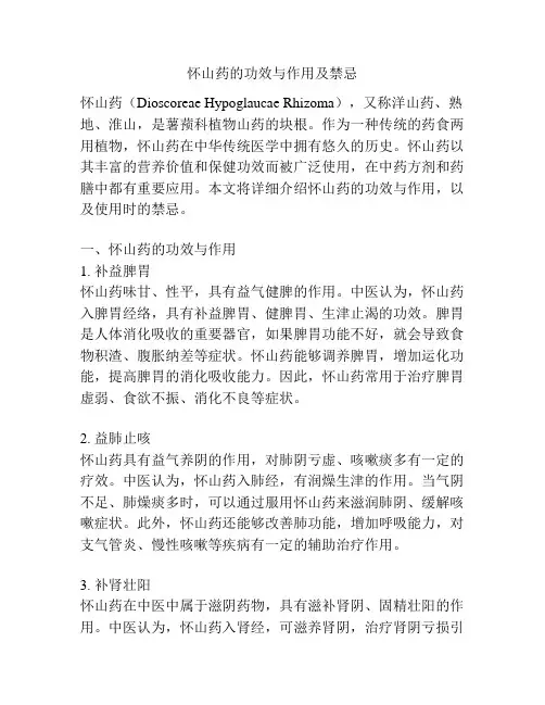 怀山药的功效与作用及禁忌