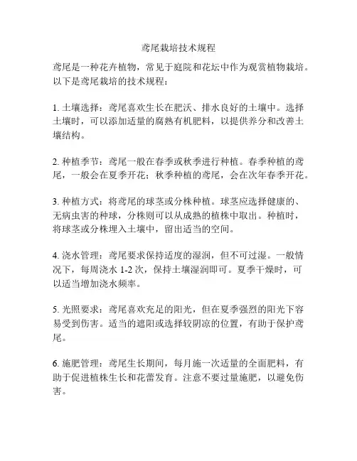 鸢尾栽培技术规程