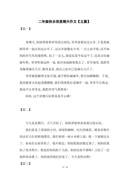 二年级快乐的星期天作文【五篇】