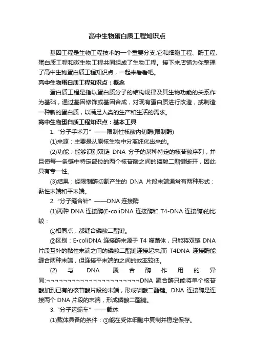 高中生物蛋白质工程知识点